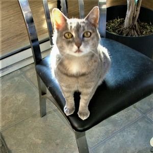 Meet your Posher, Mel